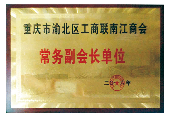 常务副会长单位
